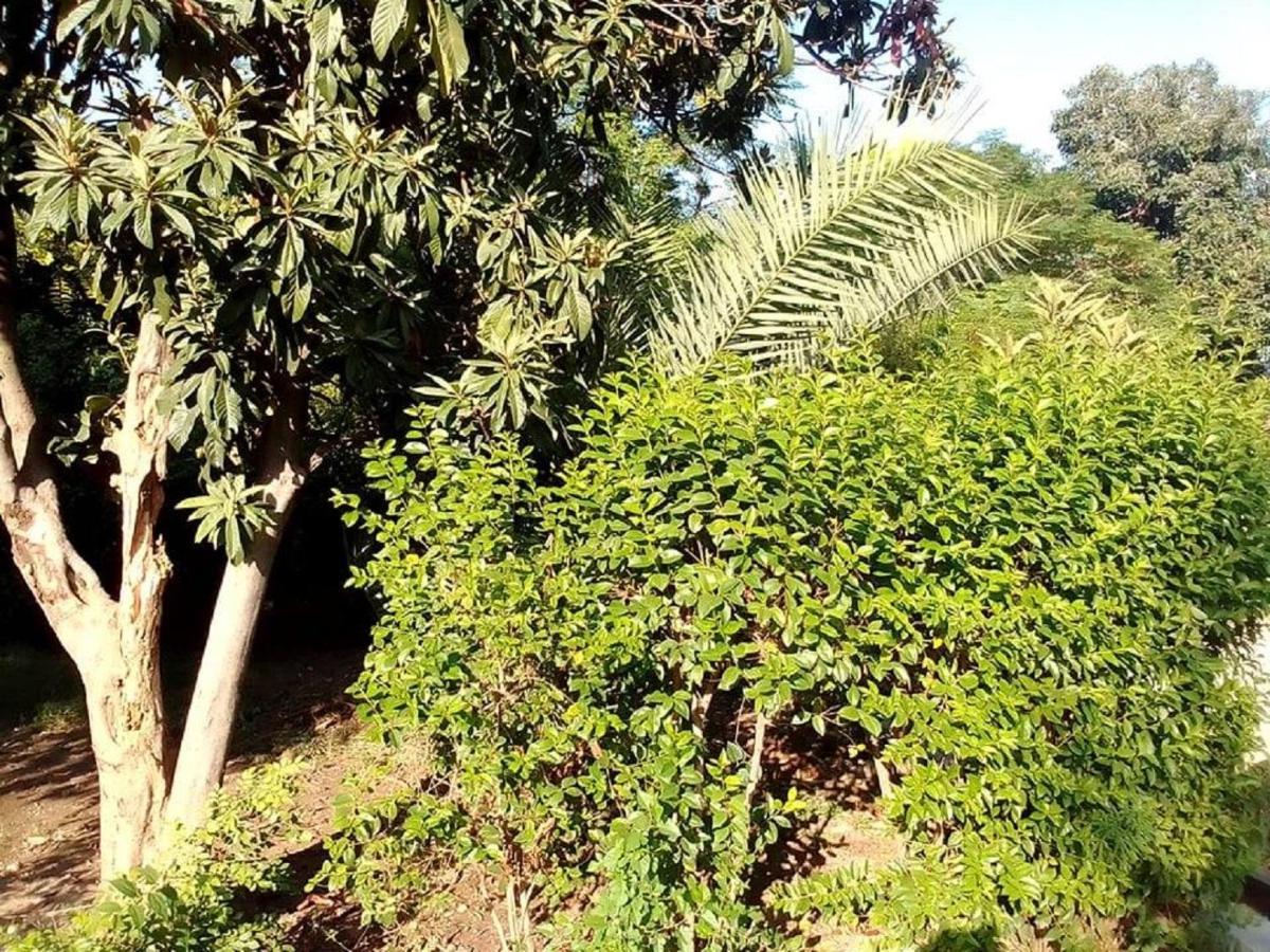 Newly Renovated Guesthouse Ισλαμαμπάντ Εξωτερικό φωτογραφία
